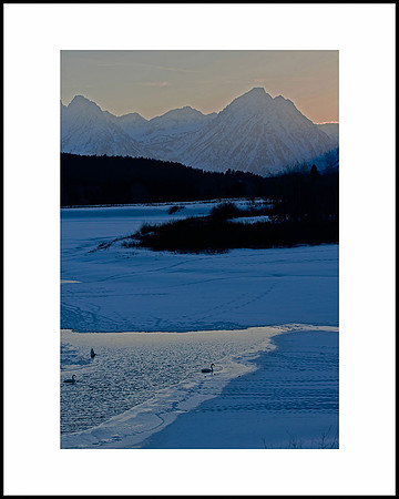 Ox Bow Bend Winter Sunset #3 with Swans
